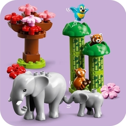 LEGO® DUPLO® 10974 Divoká zvířata Asie
